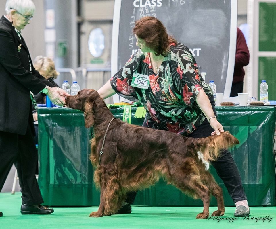 Riverwood - Crufts 2019