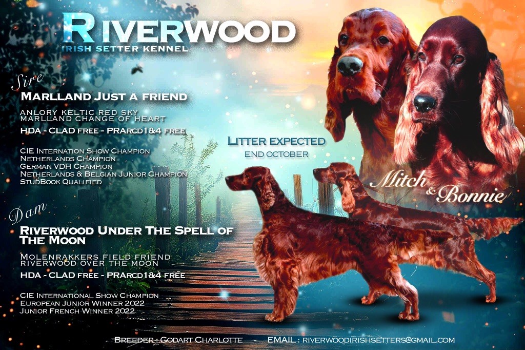 Riverwood - Portée 2025