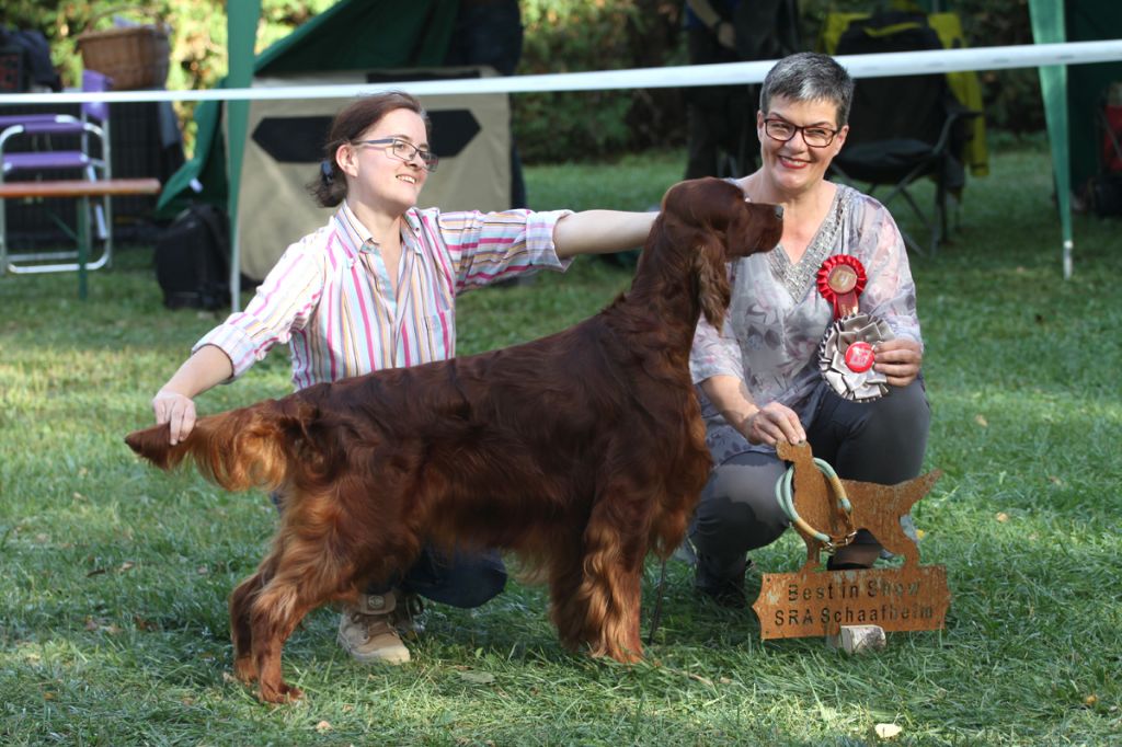 Riverwood - Résultats des expositions du mois de septembre