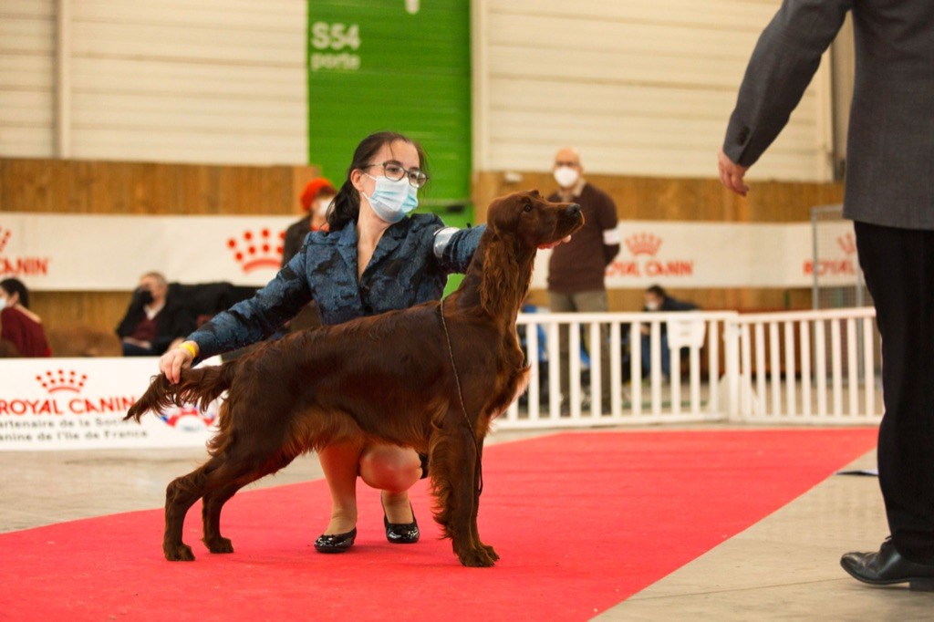 Riverwood - Paris dog show 2022